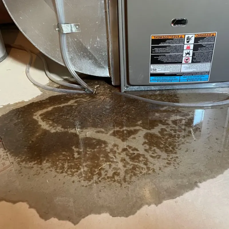 Pipe Burst and Leak Restoration in Nelsonville, OH