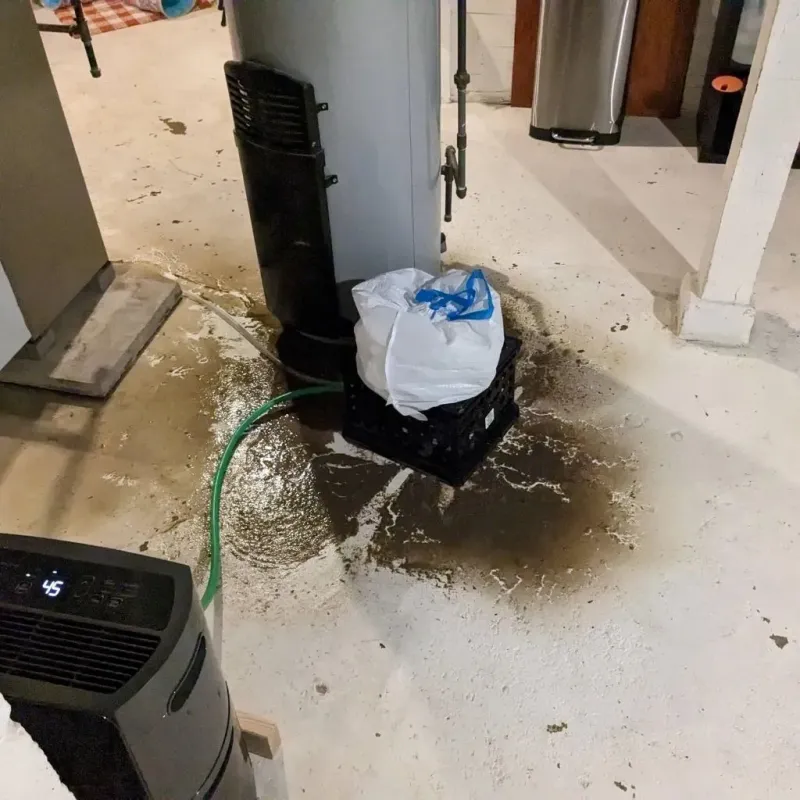 Sewage Backup Cleanup Service in Nelsonville, OH